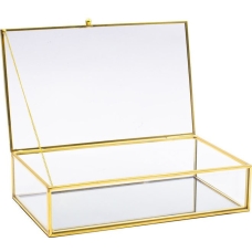 صندوق للتخزين شفاف ذهبي