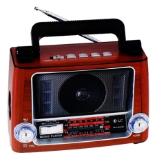 مكبر صوت محمول دي ال سي بلوتوث مع راديو متعدد الالوان